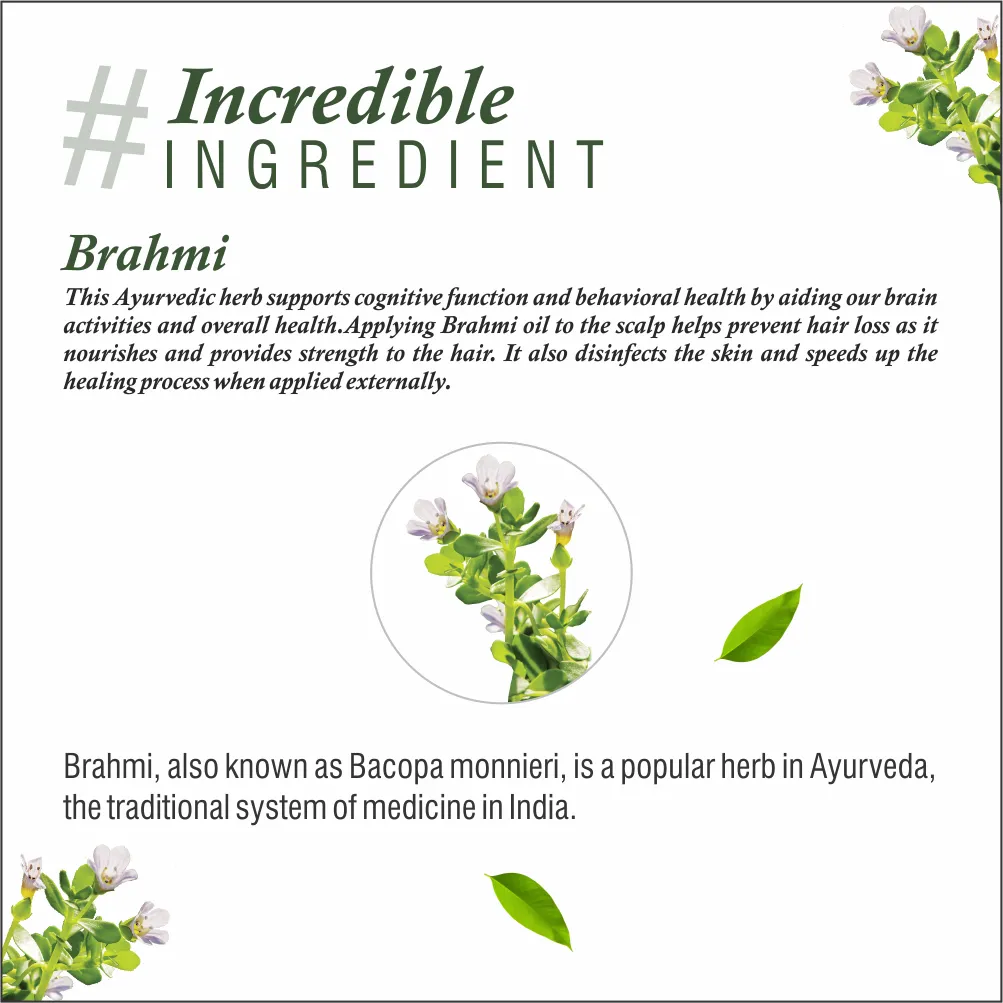 Natural Khadi 100% Pure and Natural Brahmi Powder for Hair – 100 g - Image 5