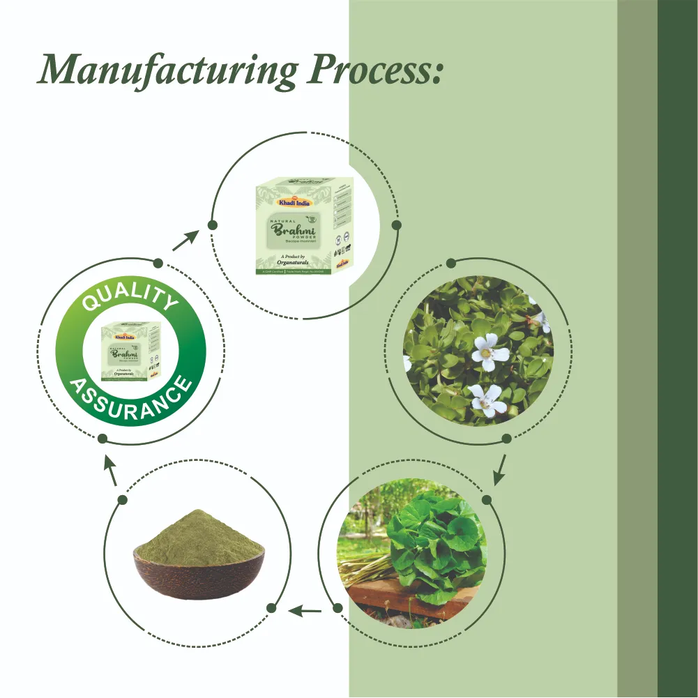 Natural Khadi 100% Pure and Natural Brahmi Powder for Hair – 100 g - Image 4