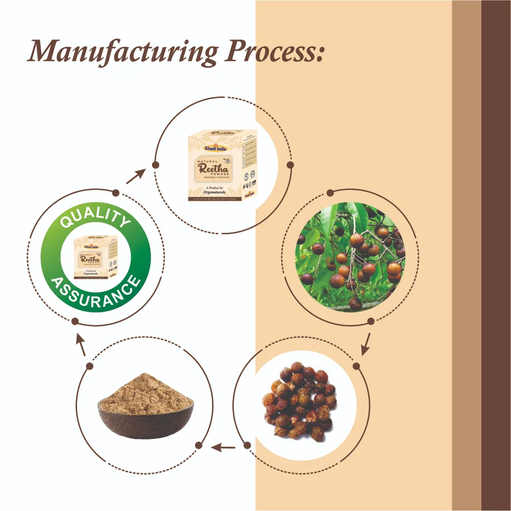 Natural Khadi 100% Pure and Natural Reetha Powder for Hair - 100 g - Image 3